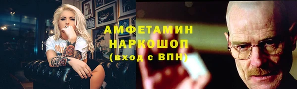 мет Алексин