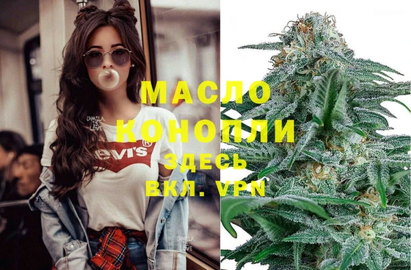 дмт Шадринск