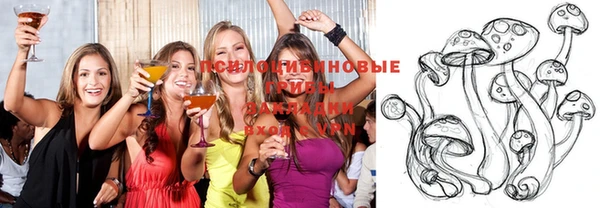 мет Алексин