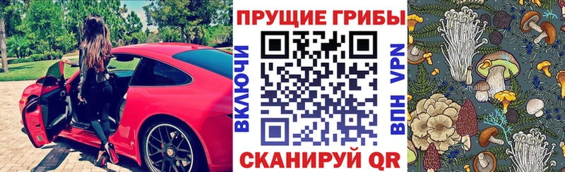 Галлюциногенные грибы прущие грибы  Аргун 
